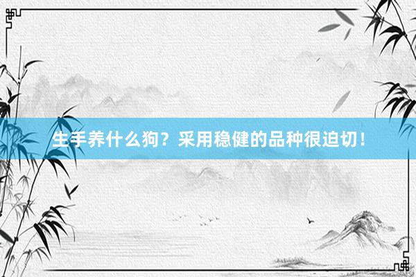 生手养什么狗?采用稳健的品种很迫切!